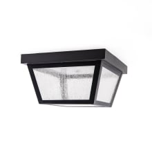 Stanhope 9" Wide Flush Mount Seedy Glass Outdoor Ceiling Fixture