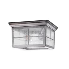 Erskine 2 Light 9" Wide Flush Mount Seedy Glass Outdoor Ceiling Fixture