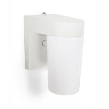 Cheshire 8" Tall Frosted Glass Wall Sconce
