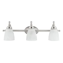Rite 3 Light 24 Inch Wide Vanity Light with Adjustable Heads