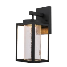 Transcendent Single Light 13" Tall LED Outdoor Wall Sconce