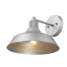 Hillis 9" Tall Wall Sconce
