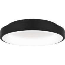 Ayaan 13" Wide LED Flush Mount Ceiling Fixture
