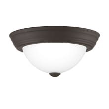 Hidalgo 11" Wide Flush Mount Bowl Ceiling Fixture with Frosted Glass Shade
