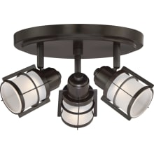 Meagher 11-3/4" Wide Integrated LED Semi-Flush Ceiling Fixture with Glass Shades