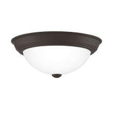 Hidalgo 2 Light 13" Wide Flush Mount Bowl Ceiling Fixture with Frosted Glass Shade