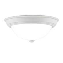 Hidalgo 2 Light 13" Wide Flush Mount Bowl Ceiling Fixture with Frosted Glass Shade