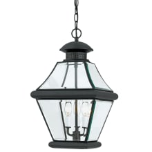 McKinley 3 Light 11" Wide Outdoor Pendant Lantern with Clear Glass