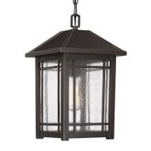 Collingsworth Single Light 9-3/4" Wide Outdoor Mini Pendant with Clear Seedy Glass Shade