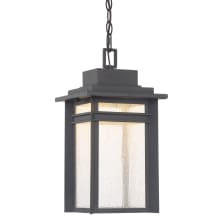 Jewell LED 9" Wide Pendant with Seedy Clear Glass