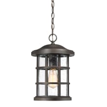 Halifax Single Light 10" Wide Outdoor Lantern Style Pendant with Seedy Glass Shade