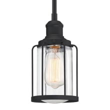 Duplin 5" Wide Single Light Mini Pendant with Clear Glass Shade