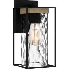 Corone 12" Tall Wall Sconce with Hammered Glass Shade