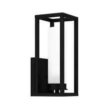 Rozele 15" Tall Outdoor Wall Sconce