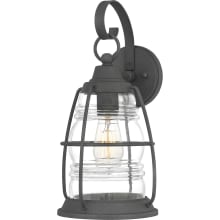 Irion 16" Tall Outdoor Wall Sconce