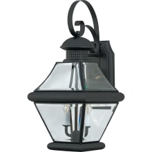 McKinley 2 Light 19" Tall Outdoor Wall Sconce with Clear Glass
