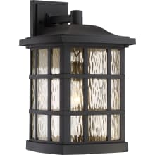 Cambria 1 Light 17" Tall Outdoor Lantern Wall Sconce with Water Clear Glass