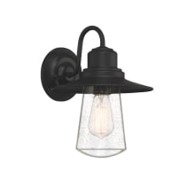 Walsh 13" Tall Outdoor Wall Sconce with Seedy Glass Shade