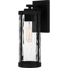 Oenoanda 14" Tall Wall Sconce with Water Glass Shade