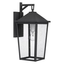 Dehlia 20" Tall Outdoor Wall Sconce