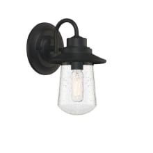 Walsh 9" Tall Outdoor Wall Sconce with Seedy Glass Shade