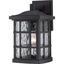 Cambria Single Light 13" Tall Outdoor Wall Sconce with Clear Water Glass