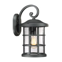 Halifax Single Light 18" Tall Outdoor Lantern Style Wall Sconce with Seedy Glass Shade
