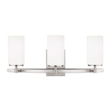 Kenney 3 Light 22" Wide Vanity Light with Etched Glass Shade