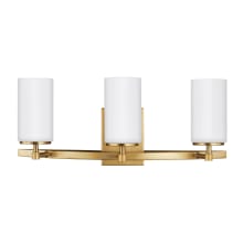 Kenney 3 Light 22" Wide Vanity Light with Etched Glass Shade