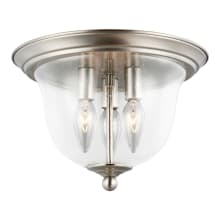 Will 3 Light 11" Wide Flush Mount Bowl Shaped Outdoor Ceiling Fixture