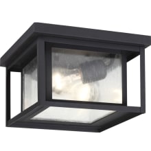 Crawford 2 Light 10" Wide Flush Mount Square Outdoor Ceiling Fixture