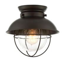 Single Light 9" Wide Flush Mount Lantern Ceiling Fixture