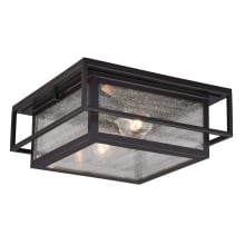 Caleb 2 Light 12" Wide Outdoor Flush Mount Square Ceiling Fixture with Glass Panel Shades