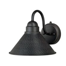 Paxton Single Light 10" Wide Outdoor Wall Sconce with 12" Extension