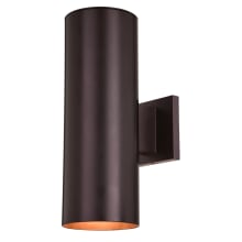 Empathy 2 Light 14" Tall Outdoor Wall Sconce - Deep Bronze Finish