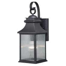 Zion 16" Tall Outdoor Wall Sconce with Glass Panel Shades