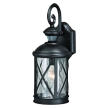 Annapolis 17" Tall Motion Sensor Dusk-to-Dawn Outdoor Wall Sconce