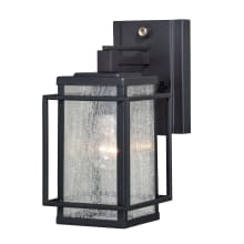 Caleb 11" Tall Outdoor Wall Sconce with Glass Panel Shades