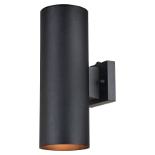 Empathy 2 Light 14" Tall Outdoor Wall Sconce - Textured Black Finish