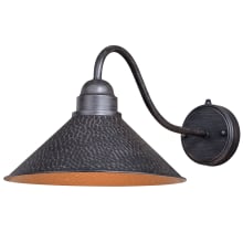 Paxton Single Light 12" Wide Outdoor Wall Sconce with 20" Extension