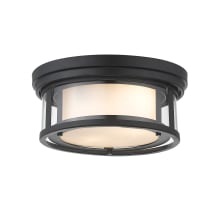 Sylvia 2 Light 12" Wide Flush Mount Drum Ceiling Fixture