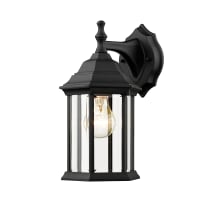 Marya 12" Tall Outdoor Wall Sconce