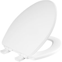 Ashland Elongated Closed-Front Toilet SeatQuick Release