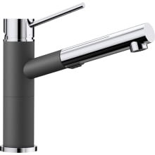 Alta 1.8 GPM Single Hole Pull Out Faucet