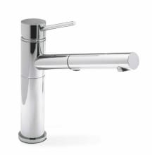 Alta 2.2 GPM Single Hole Pull Out Kitchen Faucet