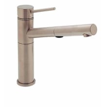 Alta 2.2 GPM Single Hole Pull Out Kitchen Faucet