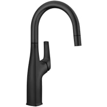 Rivana 1.5 GPM Single Hole Bar Faucet