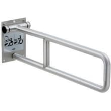 29" Swing-Up Grab Bar