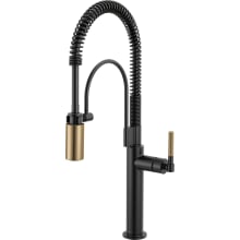 Litze 1.8 GPM Single Hole Pull Down Kitchen Faucet