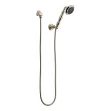 Baliza Hand Shower Package with Hose and Wall Supply